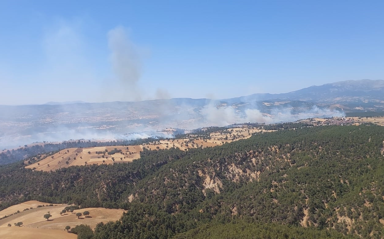 Aa 20250702 38450089 38450086 Kutahyada Ormanlik Alanda Cikan Yangina Mudahale Ediliyor (1)