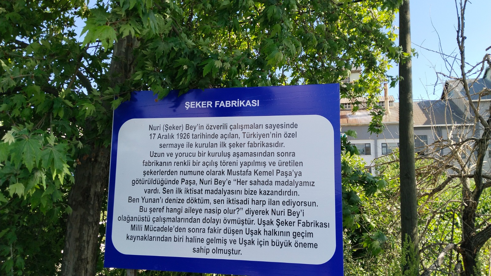 Nuri Şekere