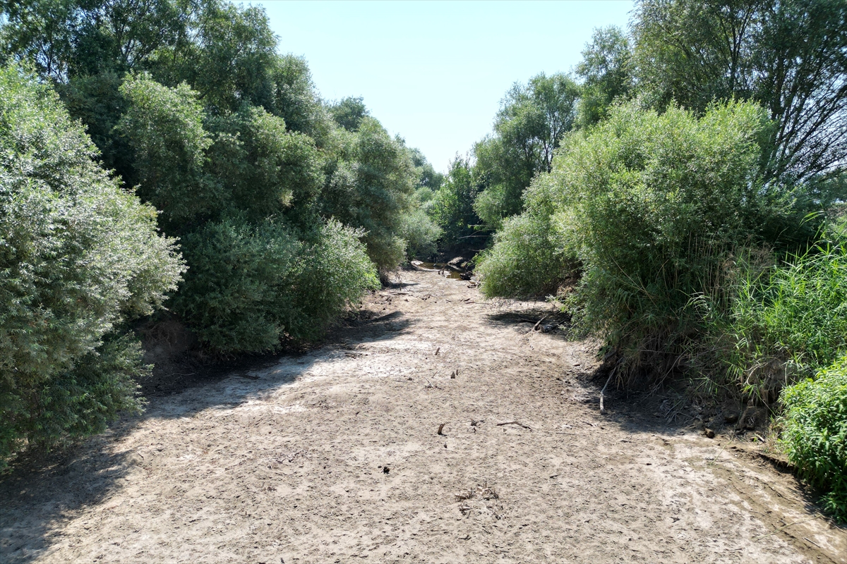 Gediz Nehri Su Baraj Gölet Nehir (3)