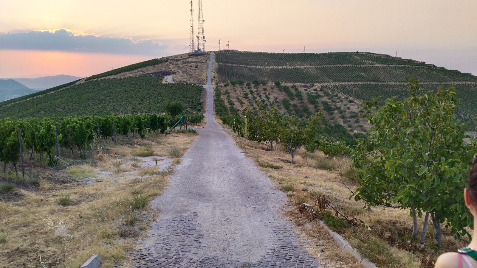 Üzüm Bağıııı