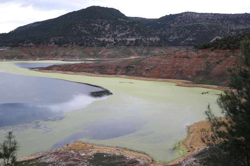 Wmo Yosun 5