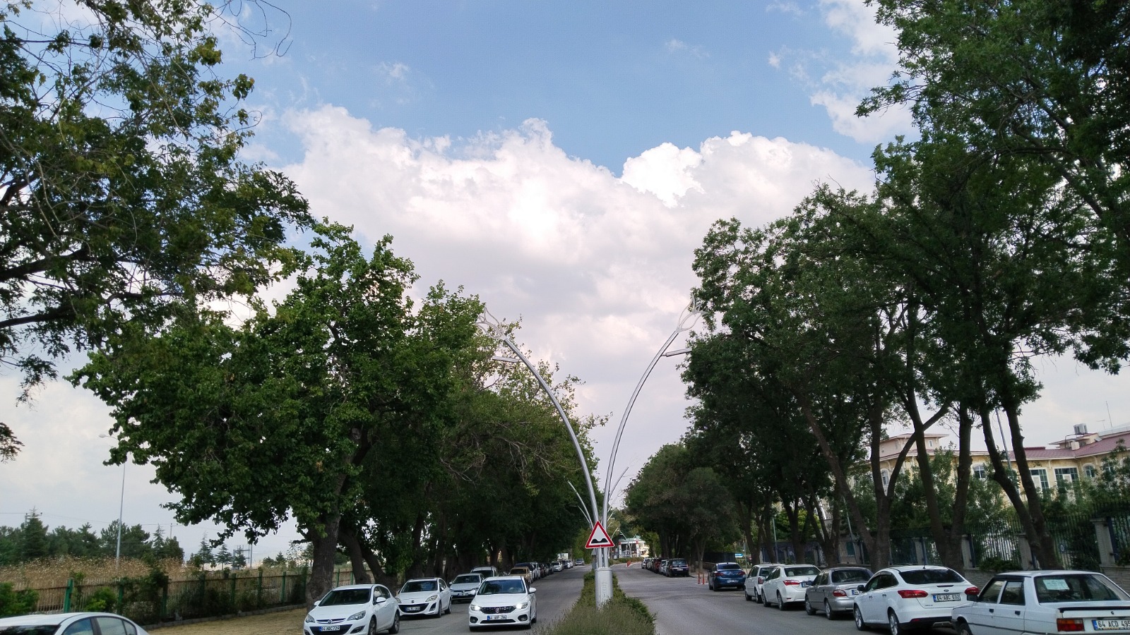 Yağmur Bulut1