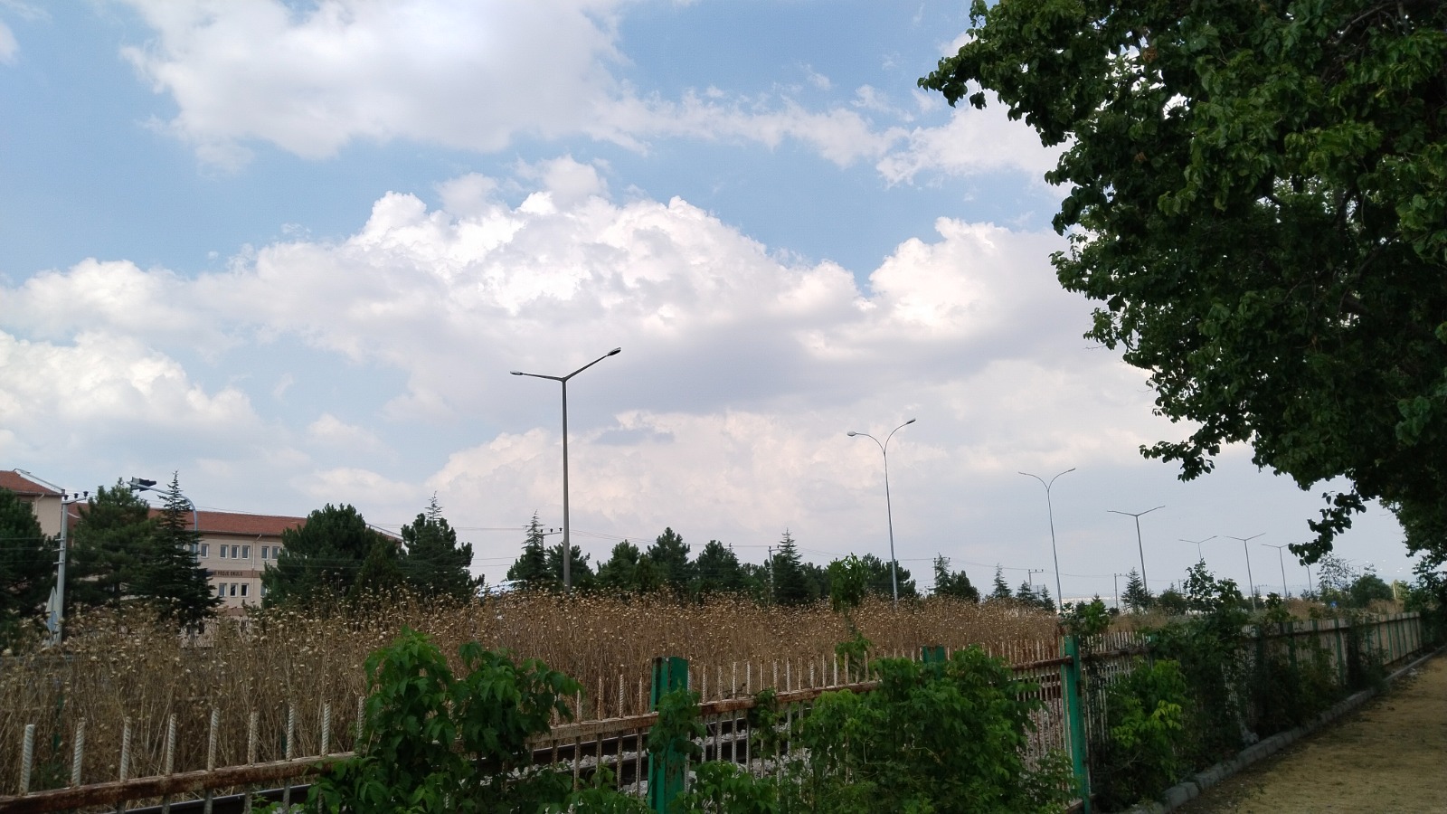 Yağmurbulut2