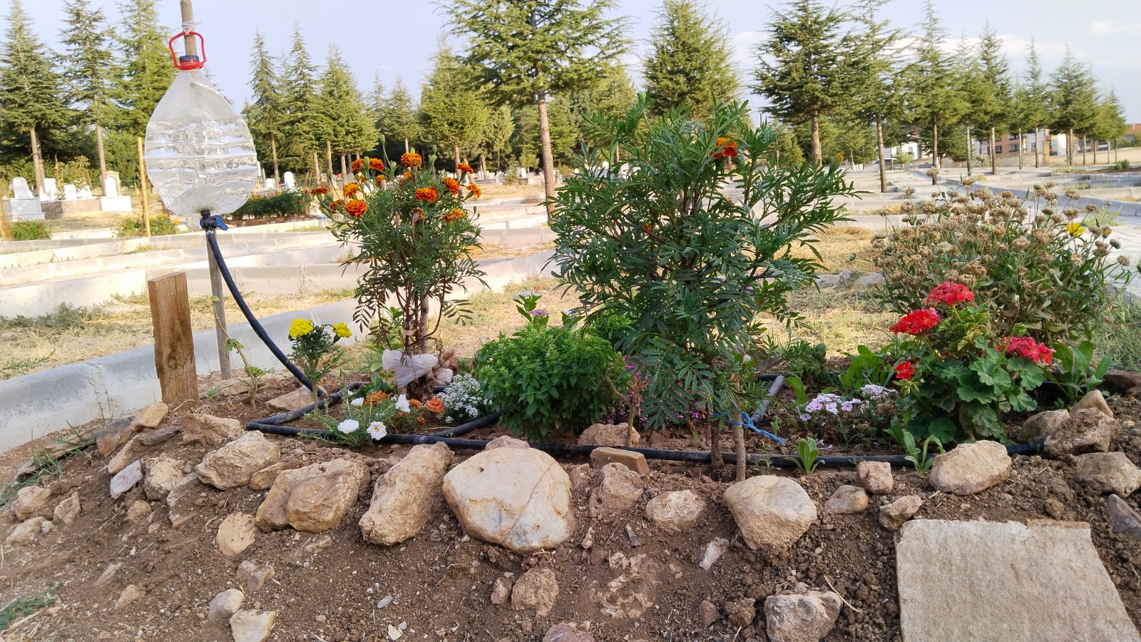 Mezarlık Damla1