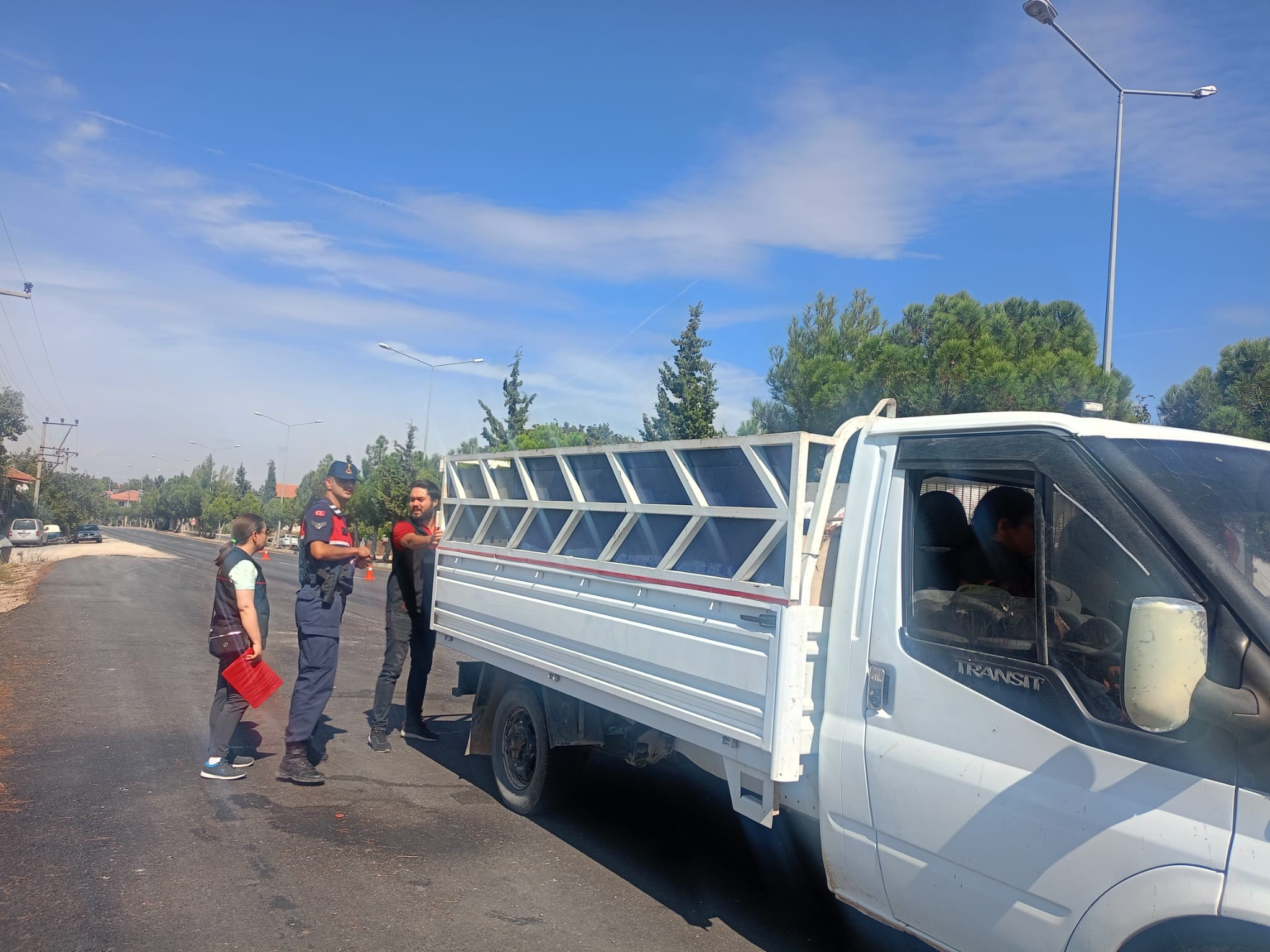 Şap2