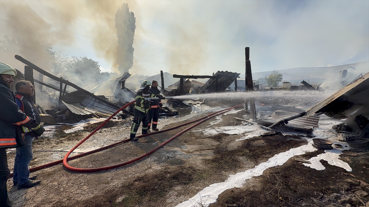 A A 20251016 39429359 39429354 K U T A H Y A D A O D U N L U K T A B A S L A Y I P E V I L E B A H C E D E K I A R A C L A R A S I C R A Y A N Y A N G I N S O N D U R U L D U