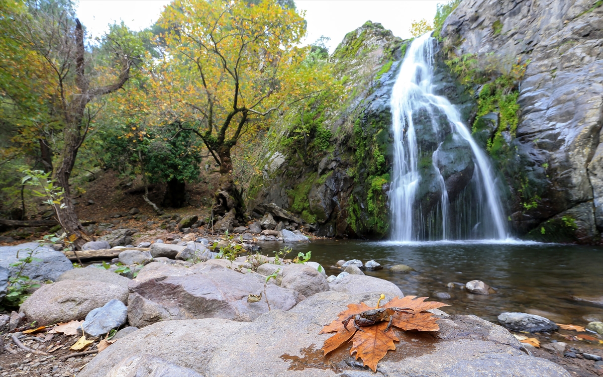 Yunt Dağı'nda sonbahar güzelliği