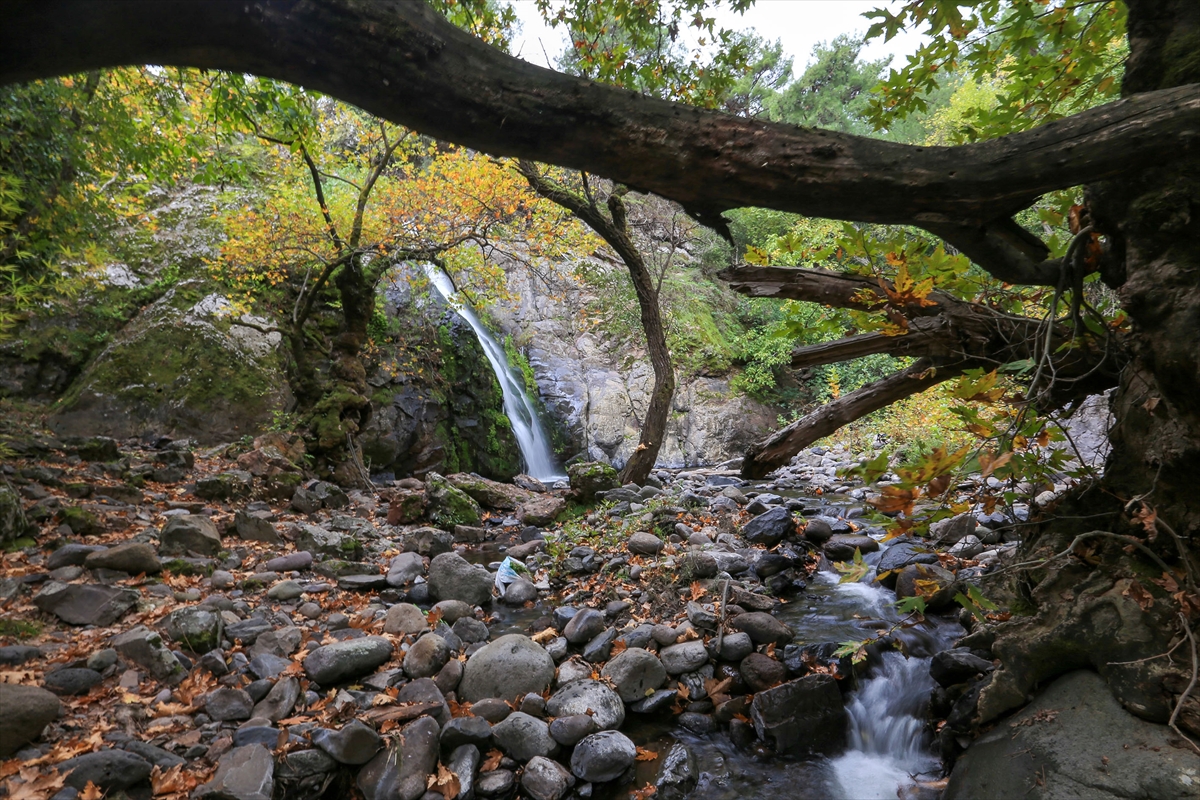 Yunt Dağı'nda sonbahar güzelliği