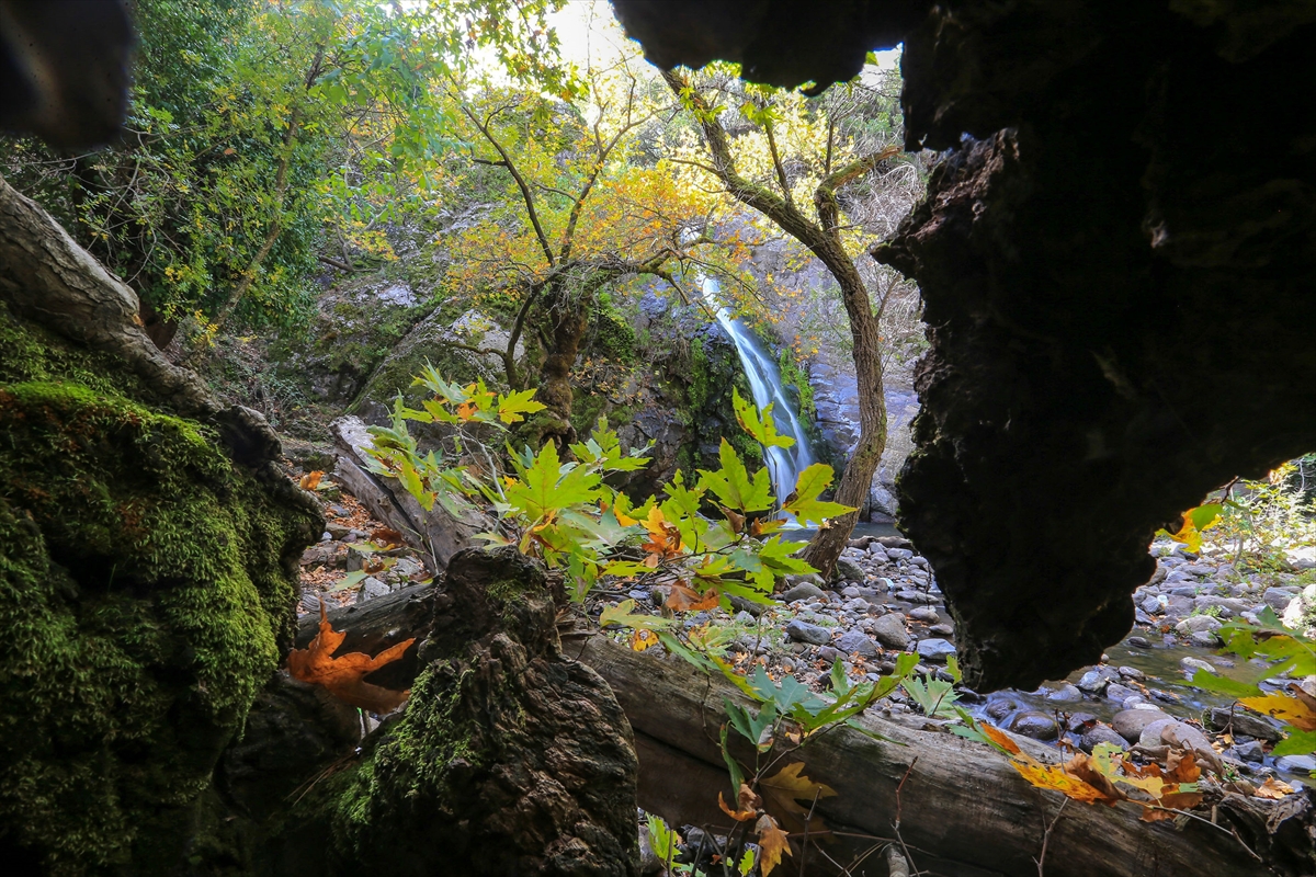 Yunt Dağı'nda sonbahar güzelliği