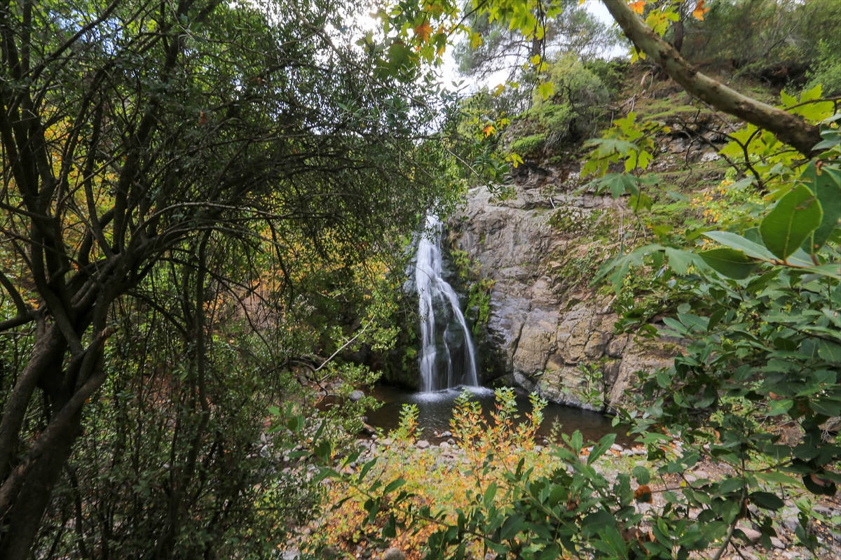 A A 20251030 39563228 39563226 Y U N T D A G L A R I N D A K I A G A C L A R H A Z A N R E N G I N E B U R U N D U