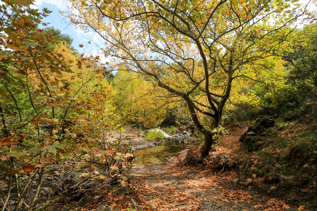 Yunt Dağı'nda sonbahar güzelliği