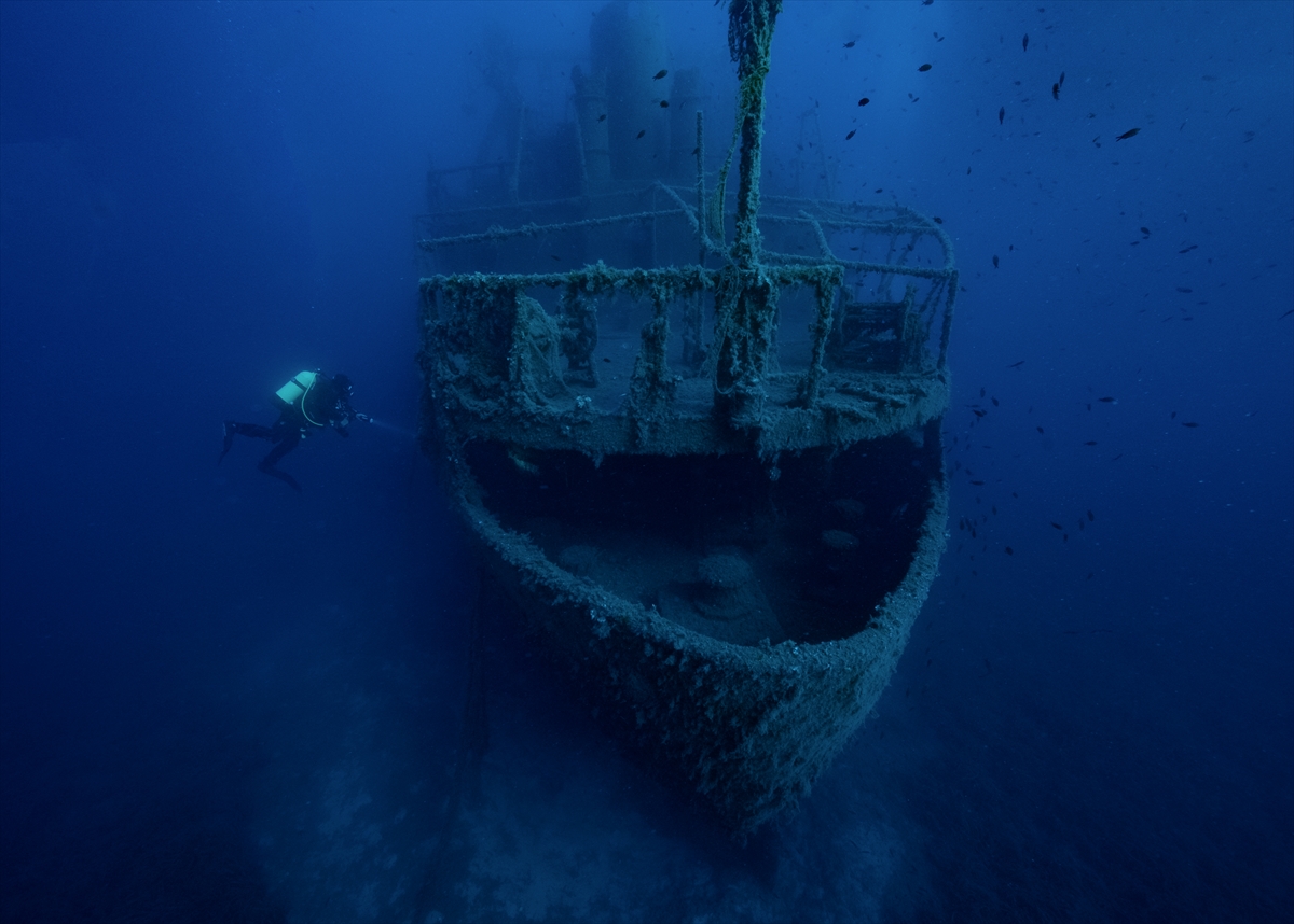 Çeşme'deki su altı zenginlikleri büyük ilgi görüyor