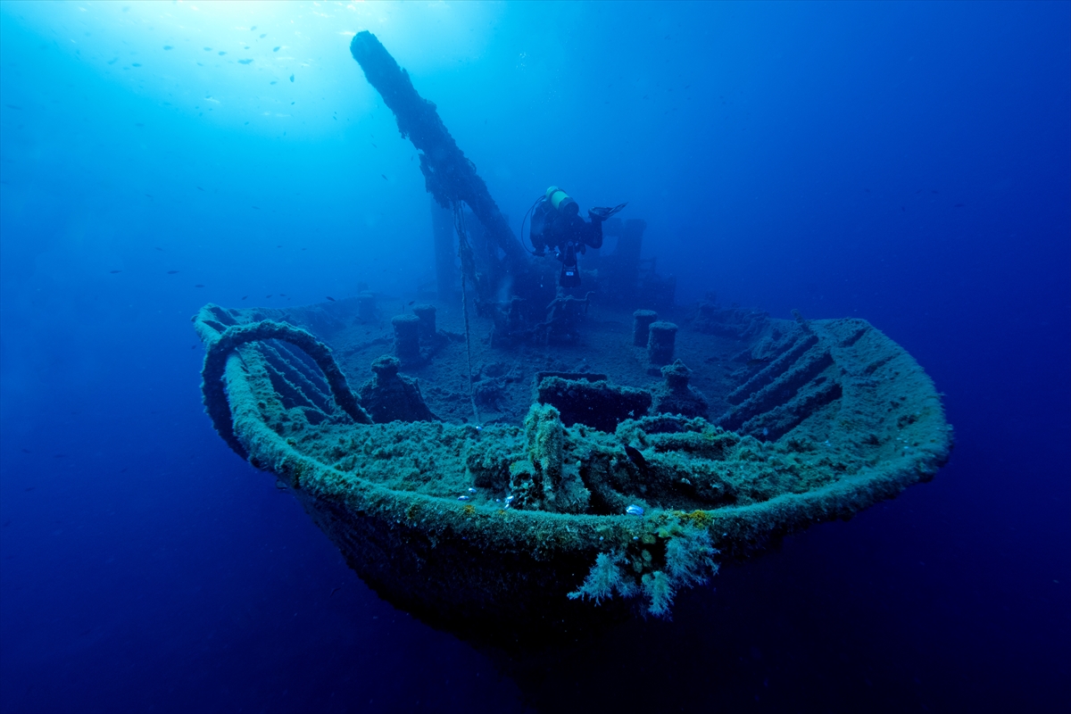 Çeşme'deki su altı zenginlikleri büyük ilgi görüyor