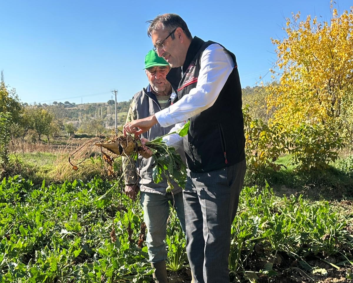 581002798 122184425906544242 603580017941655878 N