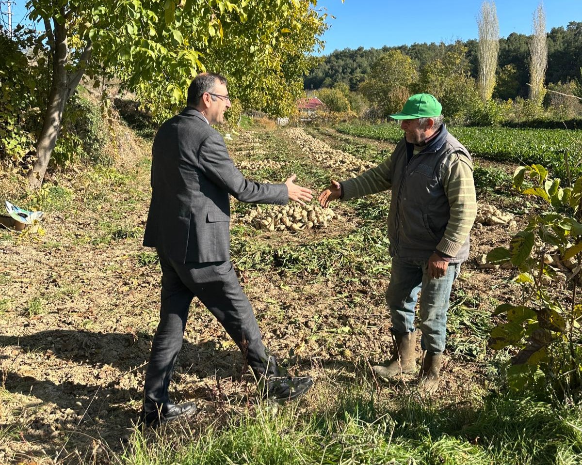 582042380 122184426014544242 7821228438469932520 N