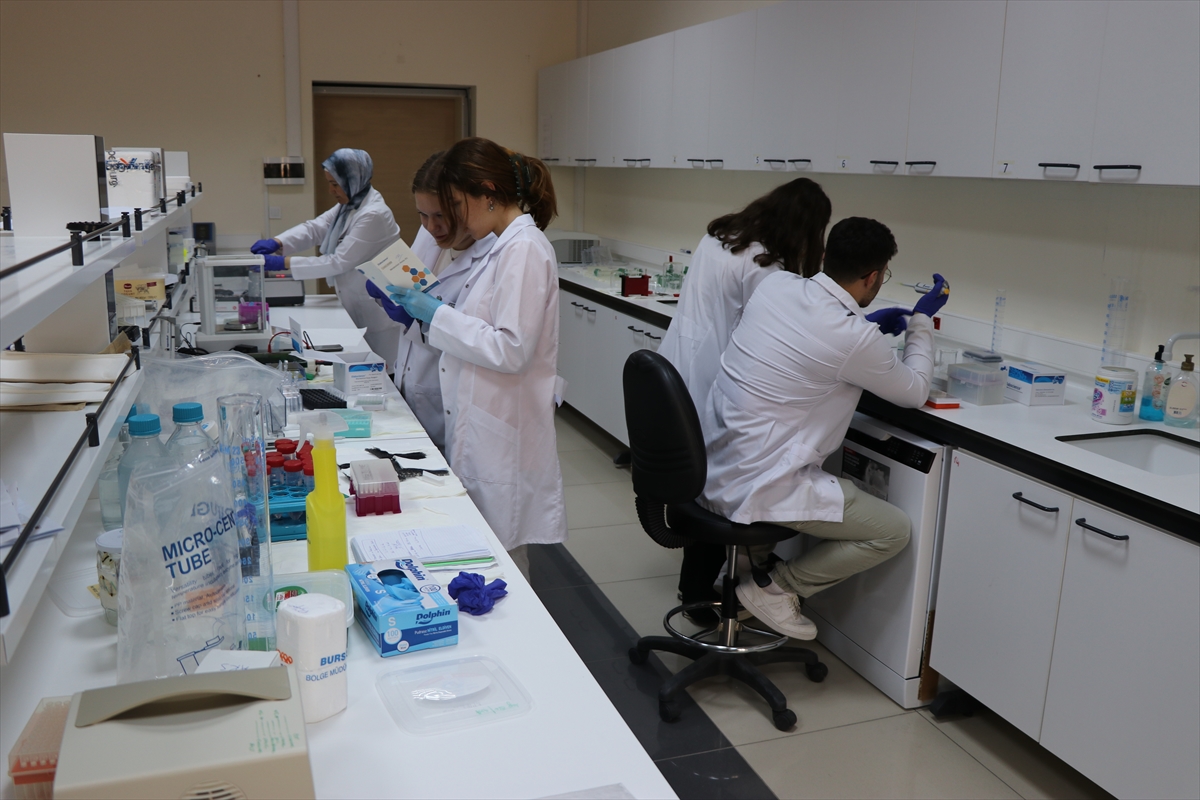 A A 20251104 39609257 39609253 E K L E M V E K I K I R D A K H A S T A L I K L A R I N I N T E D A V I S I I C I N B O R M I N E R A L L I U R U N G E L I S T I R I L D I