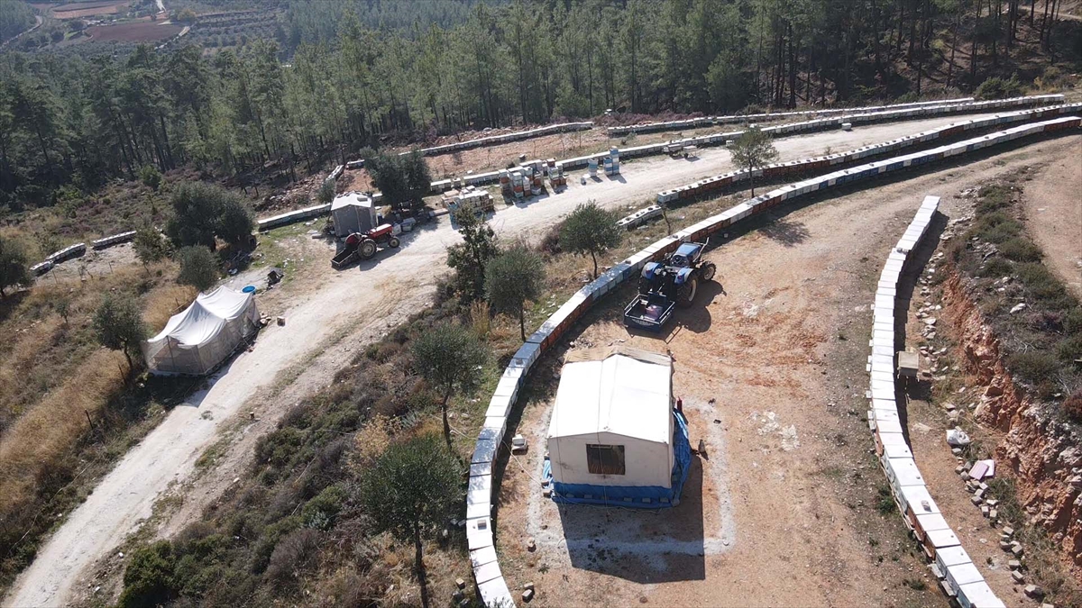 A A 20251104 39612777 39612776 M U G L A D A I K L I M S A R T L A R I N I N I Y I G I T M E S I C A M B A L I R E K O L T E S I N I Y U K S E L T T I