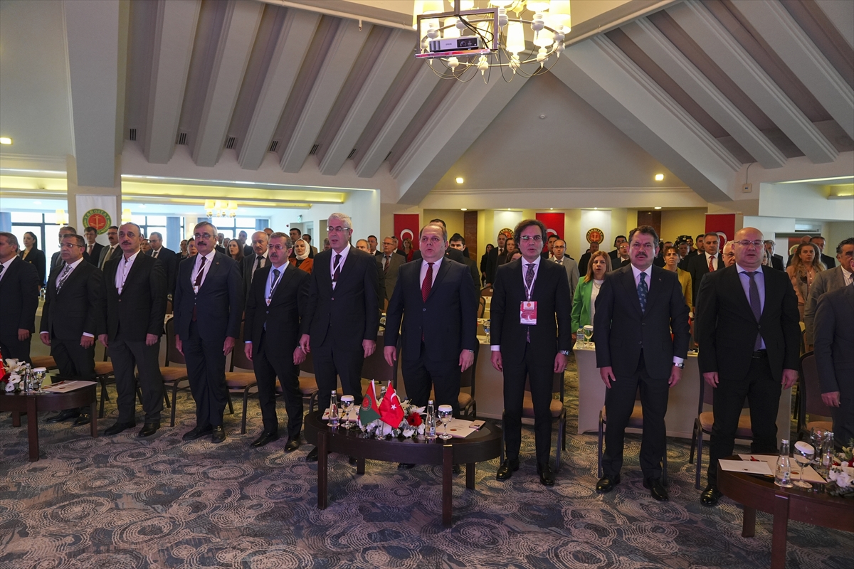 A A 20251106 39632127 39632122 I Z M I R D E K A D A S T R O V E O R M A N H U K U K U K O N U L U C A L I S T A Y D U Z E N L E N D I