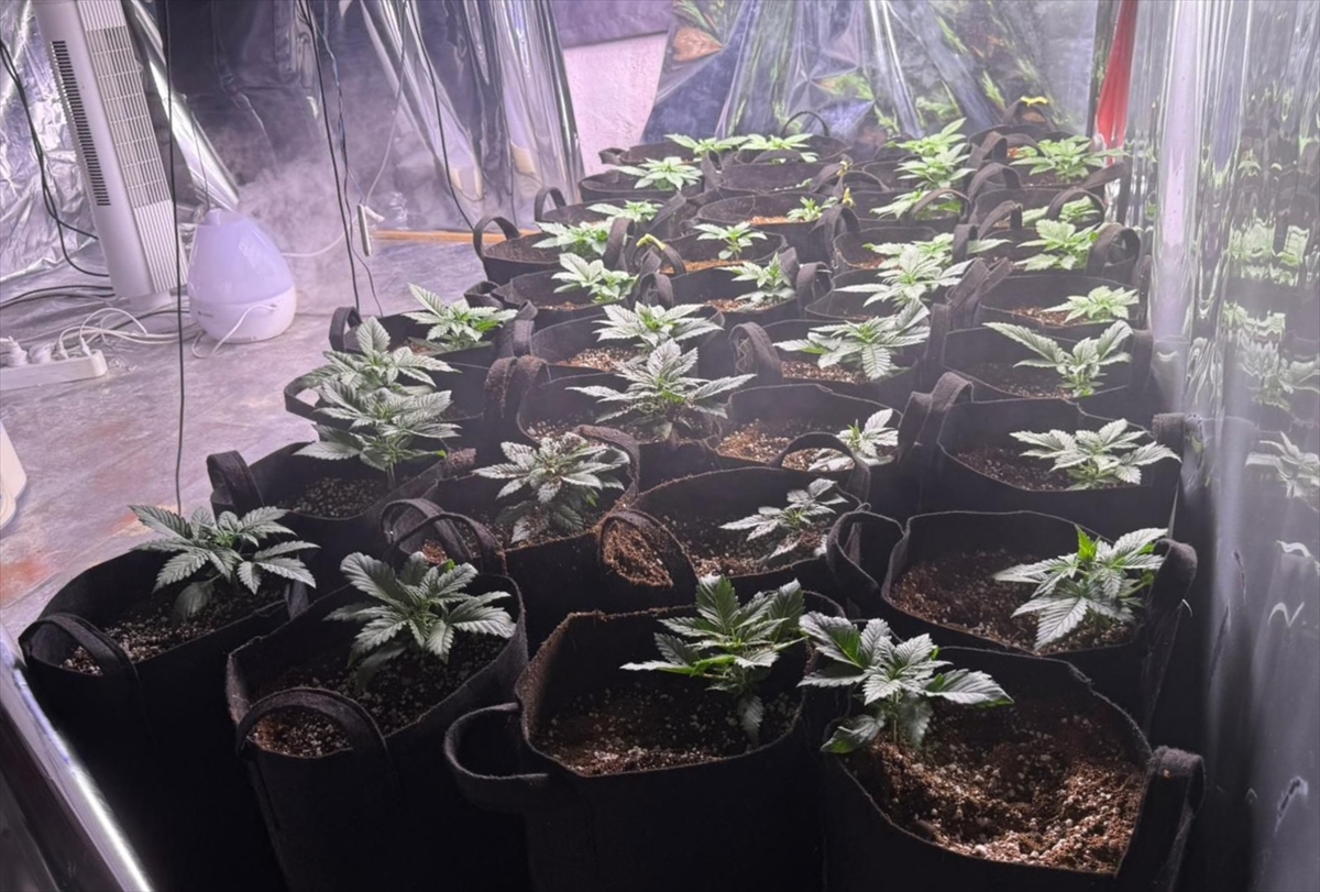 A A 20251107 39641806 39641805 I Z M I R D E E V I N D E O L U S T U R D U G U S E R A D A K E N E V I R Y E T I S T I R E N Z A N L I T U T U K L A N D I