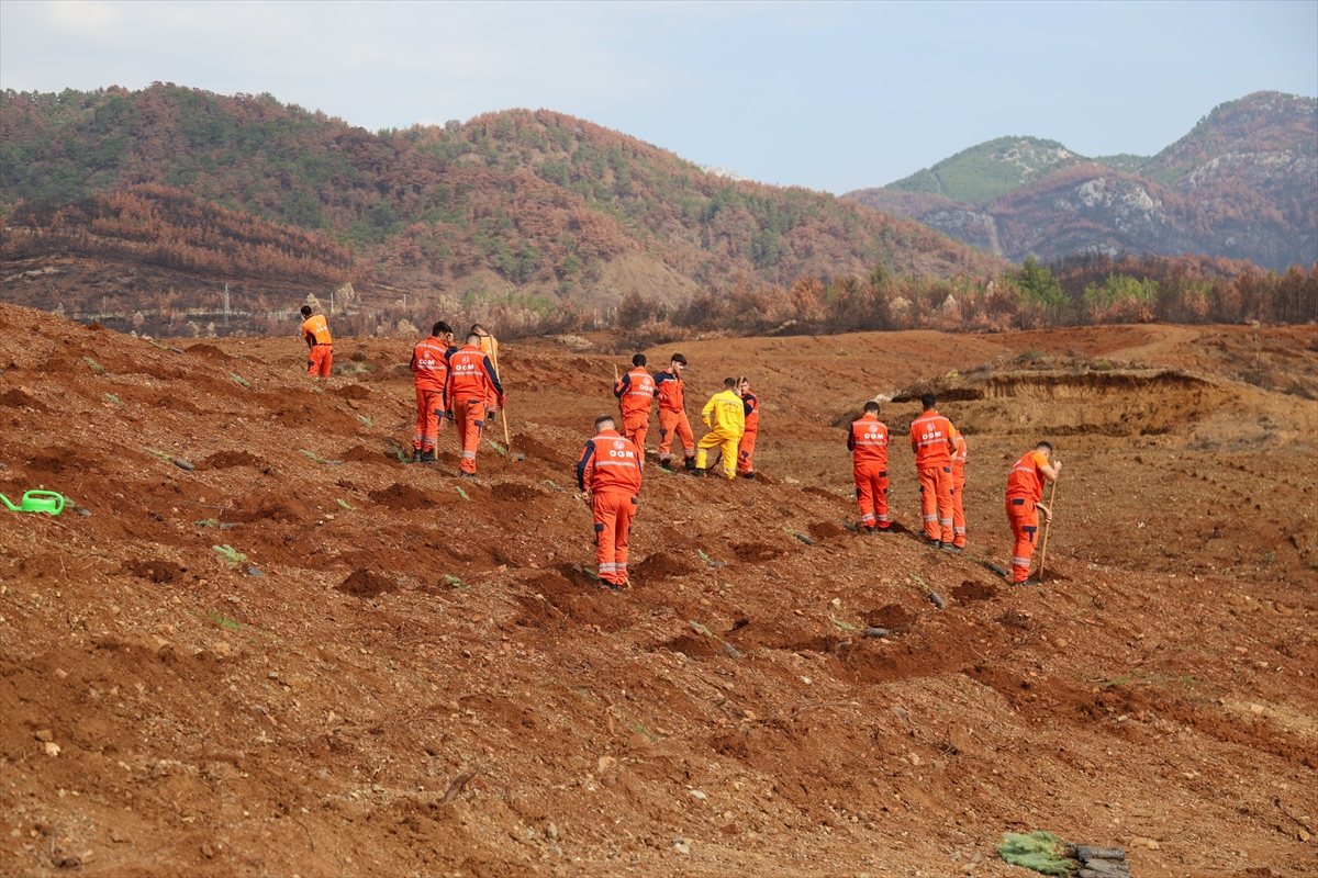 A A 20251107 39643751 39643740 M U G L A D A M I L L I A G A C L A N D I R M A G U N U E T K I N L I K L E R I K A P S A M I N D A B I N L E R C E F I D A N T O P R A K L A B U L U S A C A K