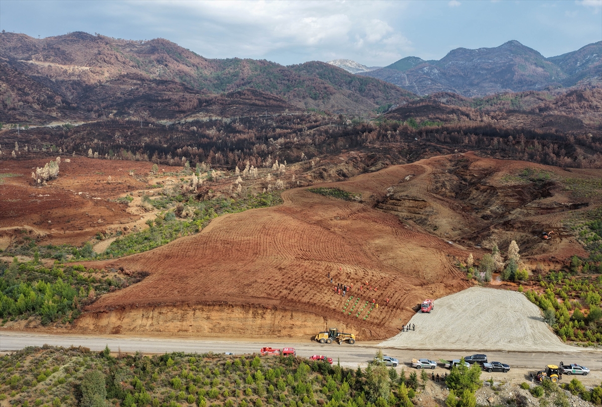 A A 20251107 39643751 39643749 M U G L A D A M I L L I A G A C L A N D I R M A G U N U E T K I N L I K L E R I K A P S A M I N D A B I N L E R C E F I D A N T O P R A K L A B U L U S A C A K