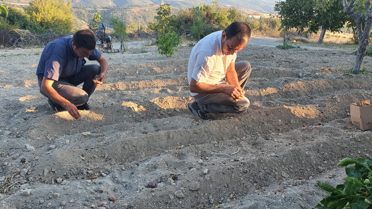 A A 20251107 39644267 39644265 D E M I R C I L I C I F T C I S A F R A N U R E T I M I I C I N D E N E M E L E R E B A S L A D I