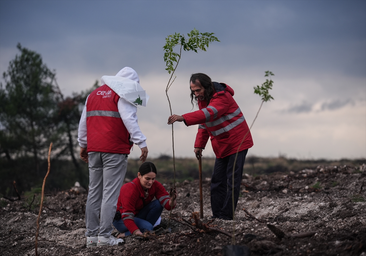 A A 20251111 39677674 39677673 I Z M I R D E M I L L I A G A C L A N D I R M A G U N U D O L A Y I S I Y L A F I D A N D I K I M I Y A P I L D I