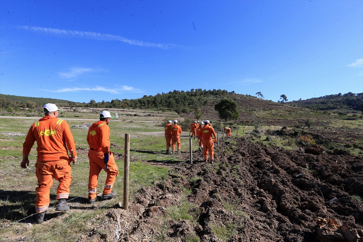 A A 20251111 39677997 39677990 M A N I S A D A H U K U M L U L E R O R M A N L A R I N G E L E C E G I I C I N G O R E V D E