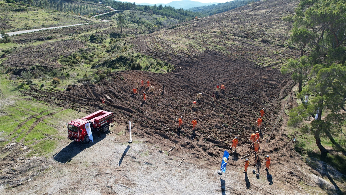 A A 20251111 39677997 39677995 M A N I S A D A H U K U M L U L E R O R M A N L A R I N G E L E C E G I I C I N G O R E V D E