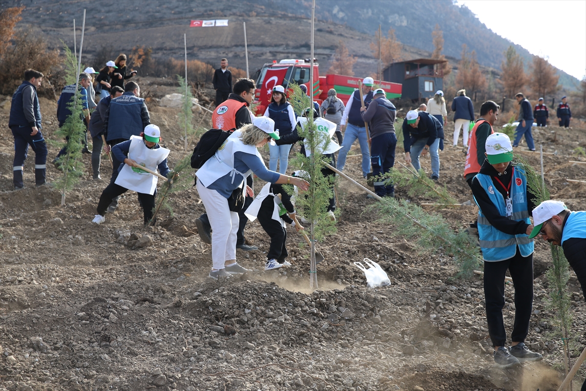 A A 20251111 39678126 39678123 I Z M I R V E C E V R E I L L E R D E F I D A N L A R T O P R A K L A B U L U S T U