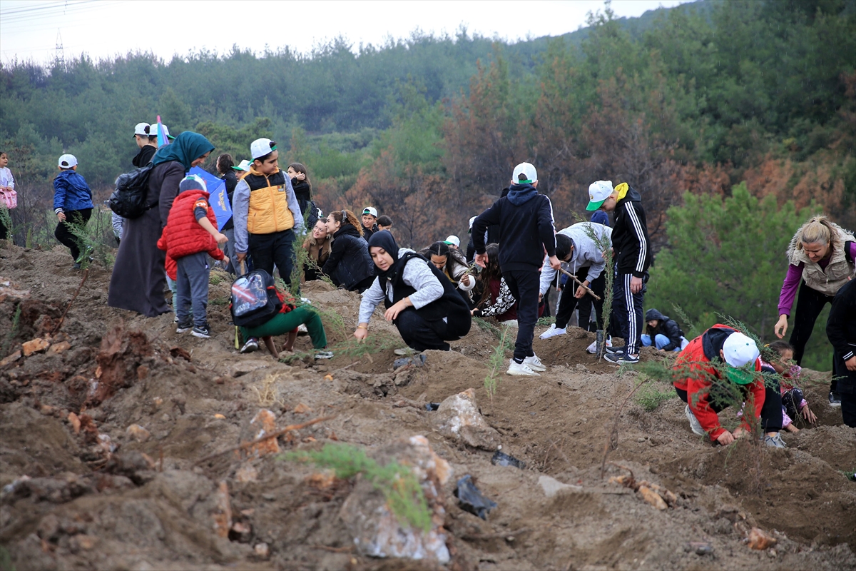 A A 20251111 39678136 39678135 I Z M I R V E C E V R E I L L E R D E F I D A N L A R T O P R A K L A B U L U S T U