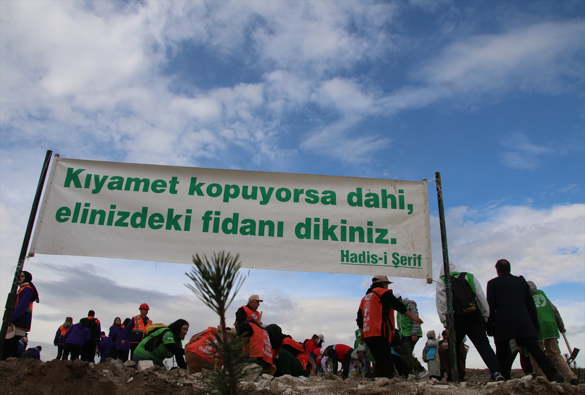 A A 20251111 39678255 39678250 K U T A H Y A D A M I L L I A G A C L A N D I R M A G U N U D O L A Y I S I Y L A F I D A N D I K I M I Y A P I L D I