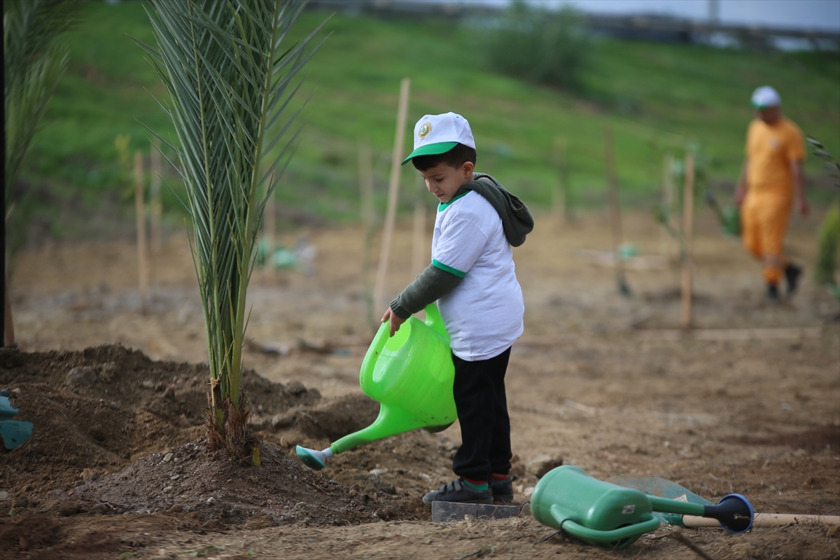 A A 20251111 39678701 39678698 A Y D I N D A F I D A N L A R T O P R A K L A B U L U S T U