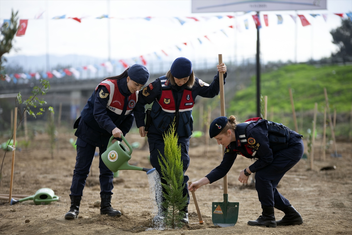 A A 20251111 39678701 39678699 A Y D I N D A F I D A N L A R T O P R A K L A B U L U S T U