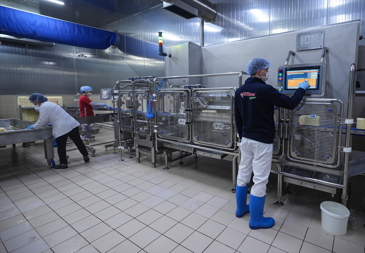 A A 20251113 39695891 39695882 T K D K D E S T E K L E R I S U T K E N T I I Z M I R D E K I I S L E M E T E S I S L E R I N I G E L I S T I R I Y O R