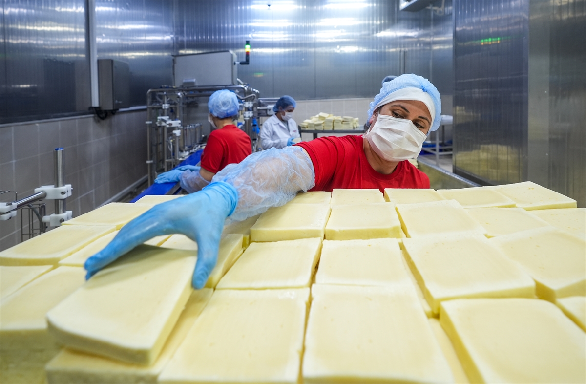 A A 20251113 39695891 39695883 T K D K D E S T E K L E R I S U T K E N T I I Z M I R D E K I I S L E M E T E S I S L E R I N I G E L I S T I R I Y O R