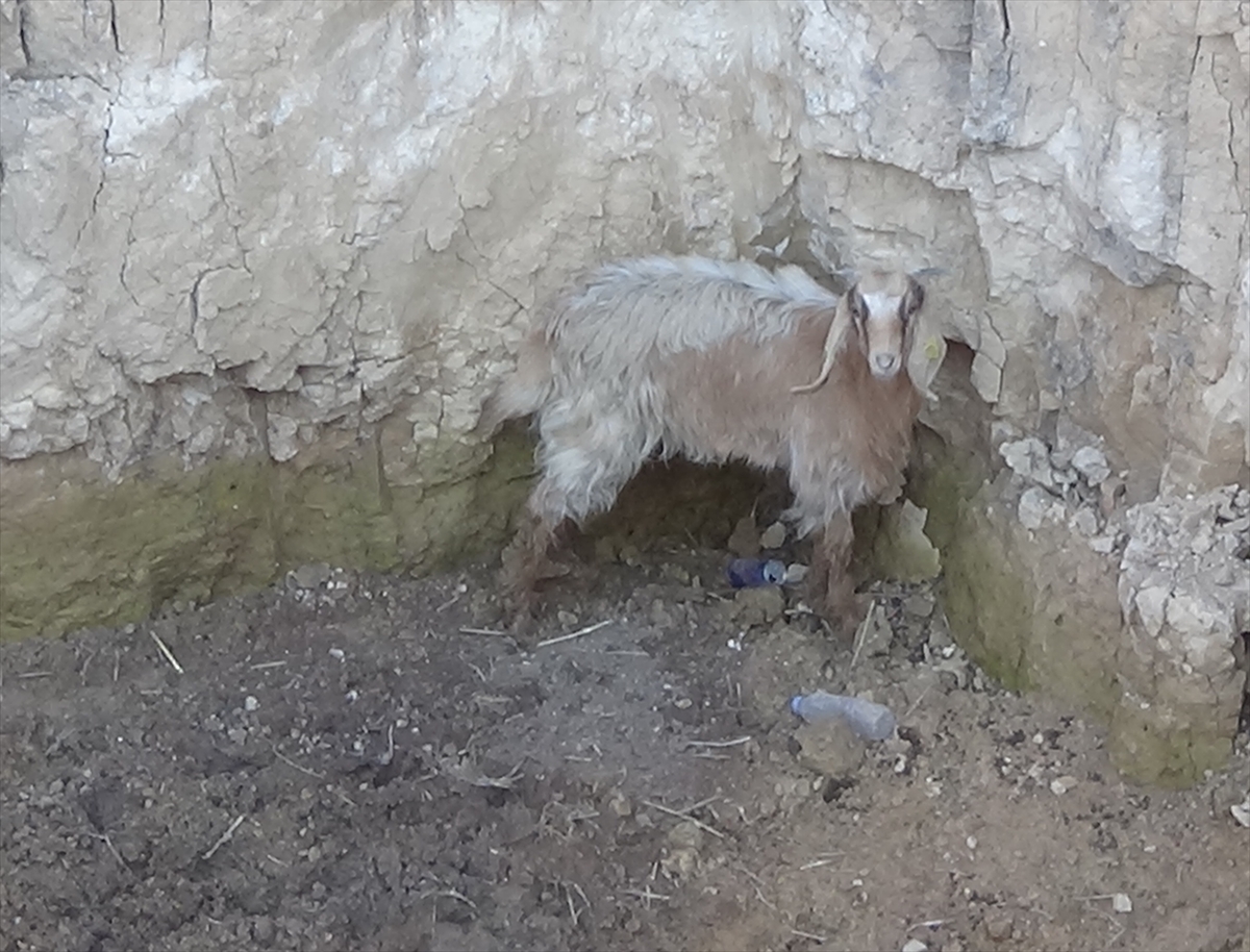 A A 20251115 39713868 39713865 U S A K T A K U Y U Y A D U S E N K E C I Y I I T F A I Y E K U R T A R D I