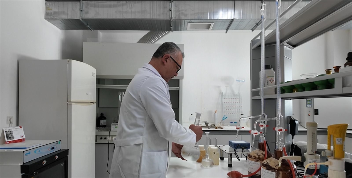 A A 20251117 39731630 39731629 M U G L A D A A T I K S U D E N E T I M L E R I S U R U Y O R