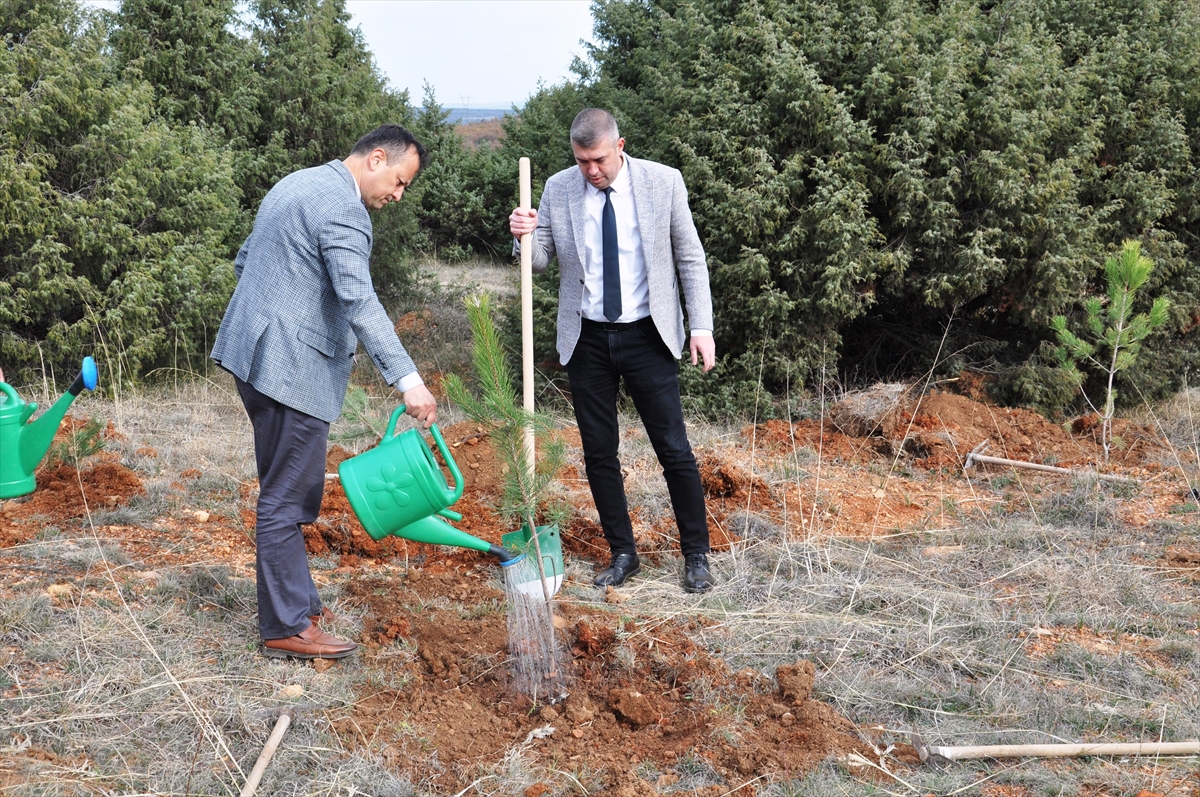 A A 20251118 39738940 39738937 K U T A H Y A D A Z A F E R K A L K I N M A A J A N S I T A R A F I N D A N H A T I R A O R M A N I O L U S T U R U L D U