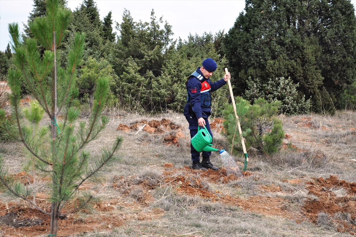 A A 20251118 39738940 39738939 K U T A H Y A D A Z A F E R K A L K I N M A A J A N S I T A R A F I N D A N H A T I R A O R M A N I O L U S T U R U L D U