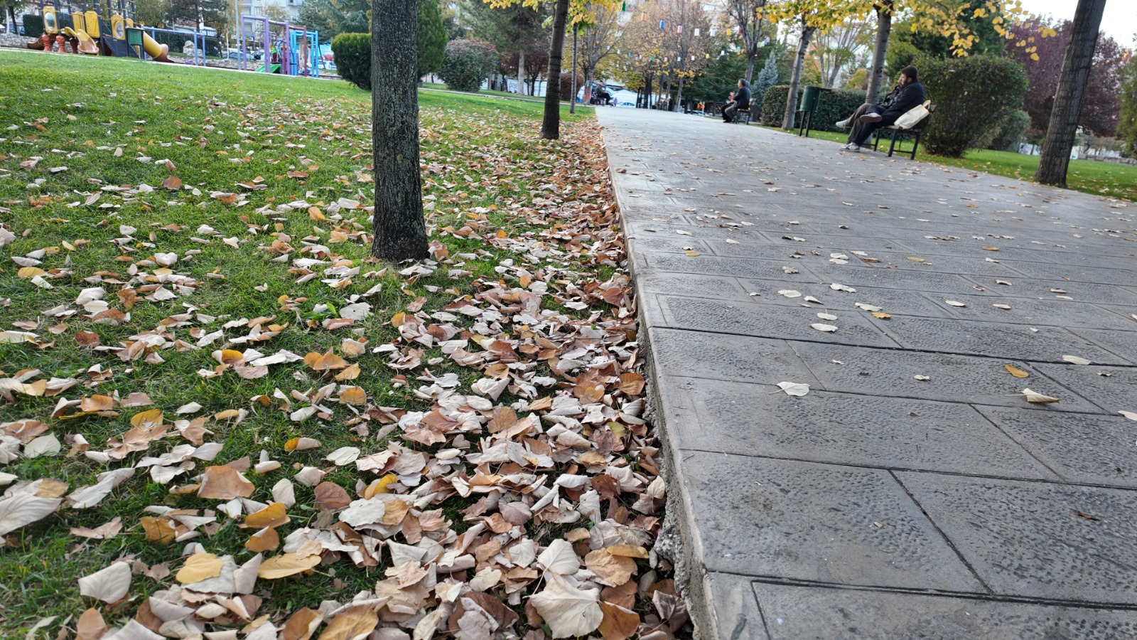 Atapark Sonbahar (1)