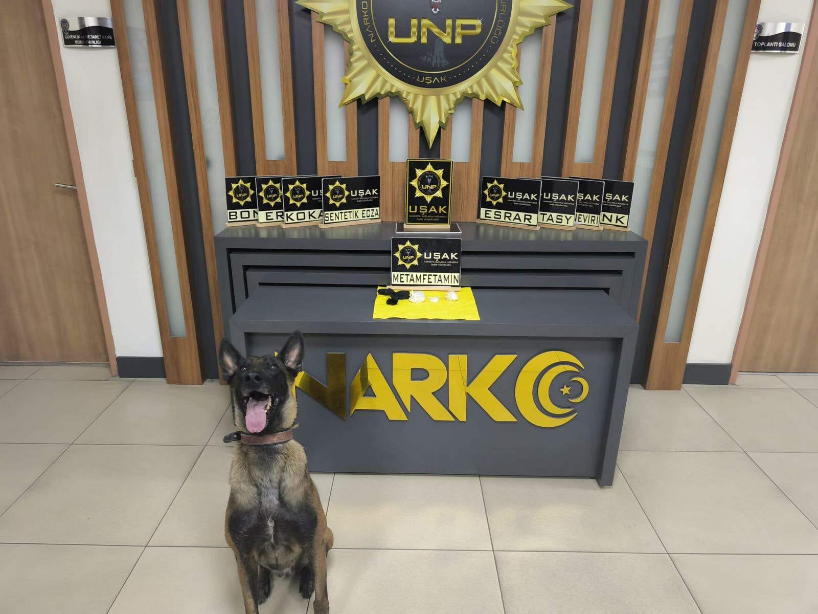 Cc61Fba2 1D78 40F0 8F71 1Eb278022108