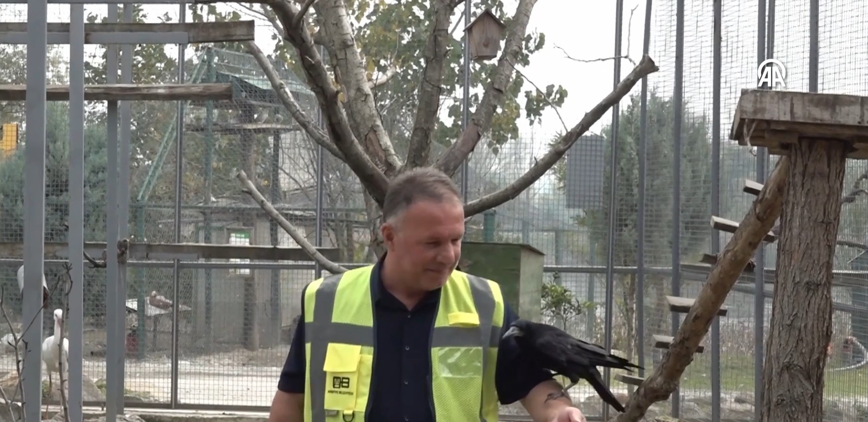 Ekran Görüntüsü 2025 11 16 114115