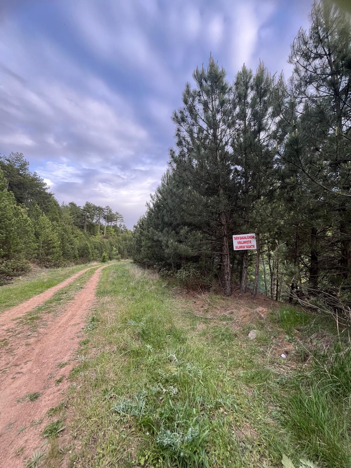 06F838B1 B824 4C14 8243 F1B29D15F2C5