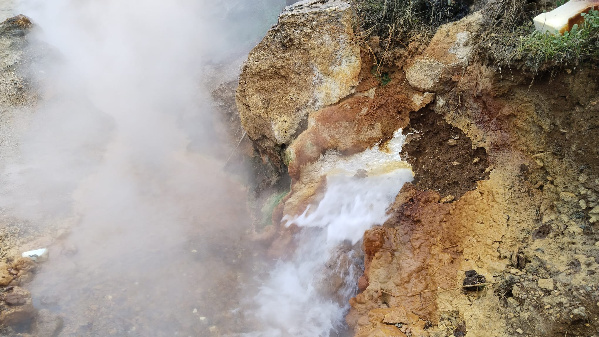 4B50A178 0811 4A7F A462 93548B2186Ad