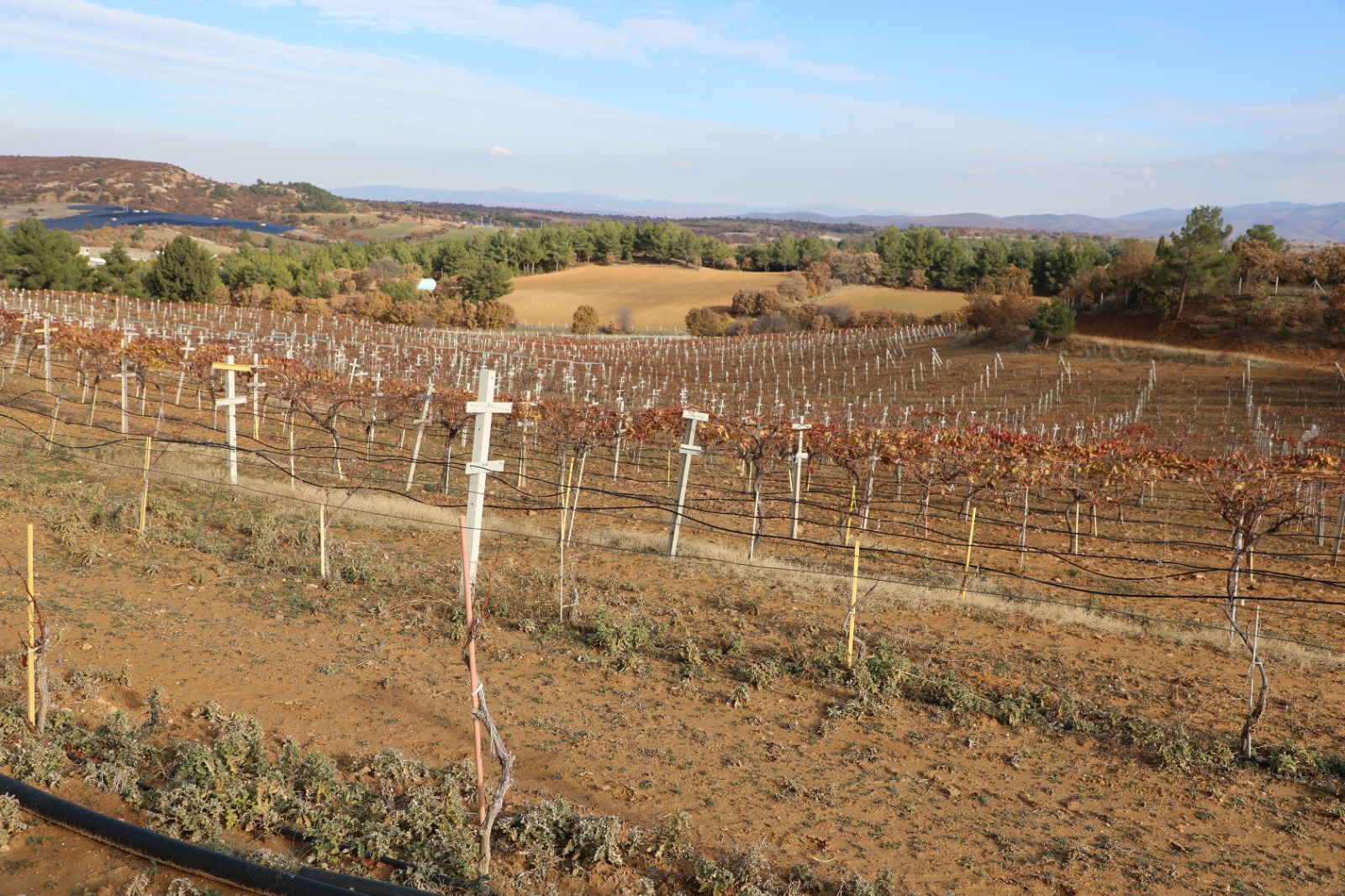 593869780 122187195452544242 8249640209889791309 N