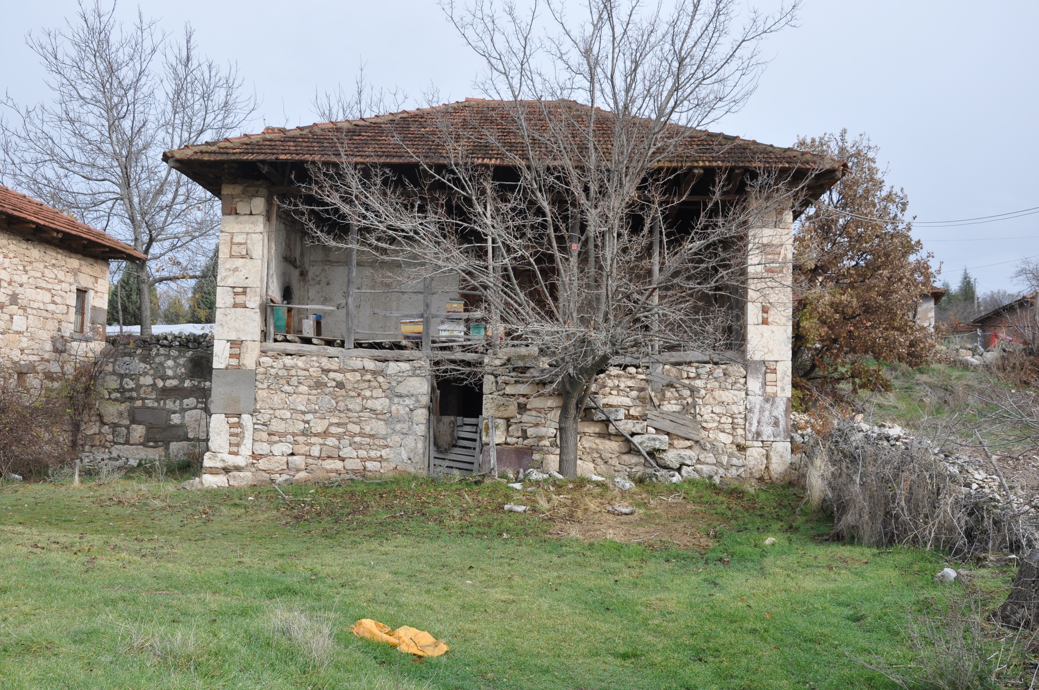 594077034 10224421787691641 2359799682357593132 N