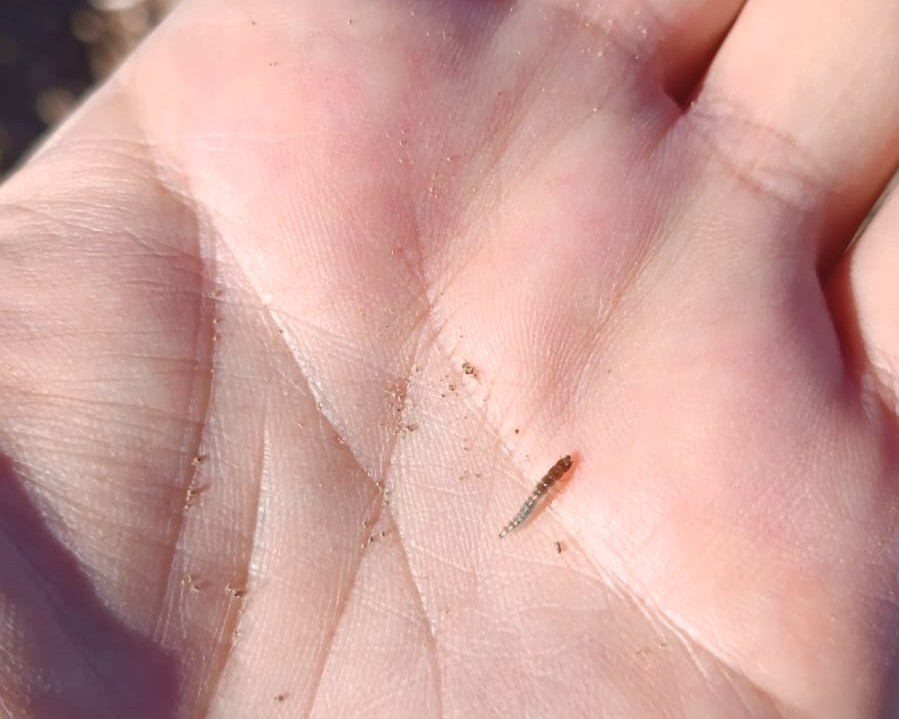 599821725 122189351906544242 8353361832721378518 N