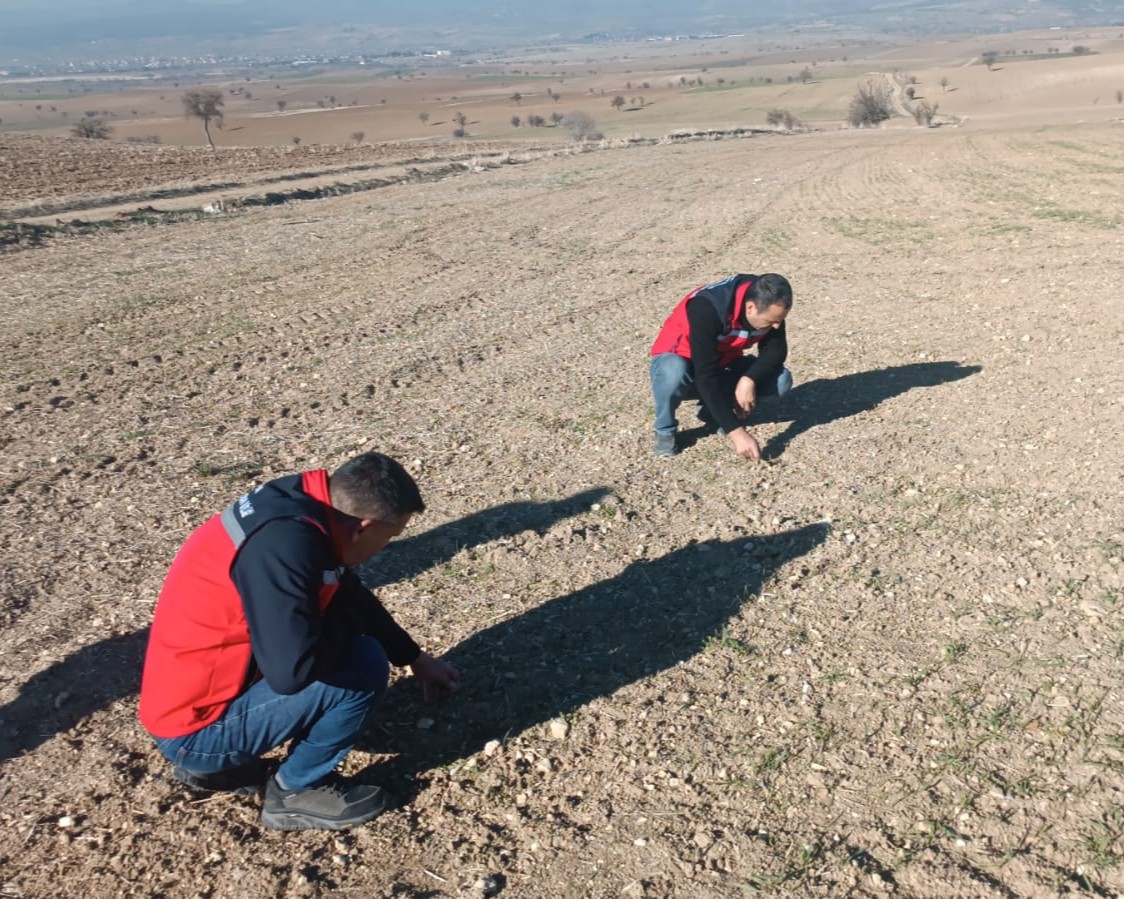 600203930 122189351960544242 6538030475401596903 N