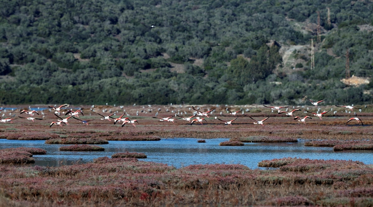 A A 20251202 39871114 39871109 M I L A S T A K I T U Z L A S U L A K A L A N I N D A G O C M E N K U S Y O G U N L U G U Y A S A N I Y O R